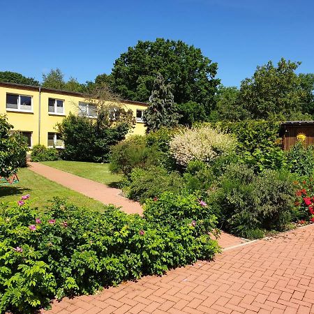 Ferienwohnung Ruegen In Samtens Kültér fotó